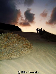 Sea dunes by the nightfall! by Elia Correia 